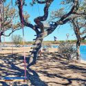 amenities at Beachcomber Park